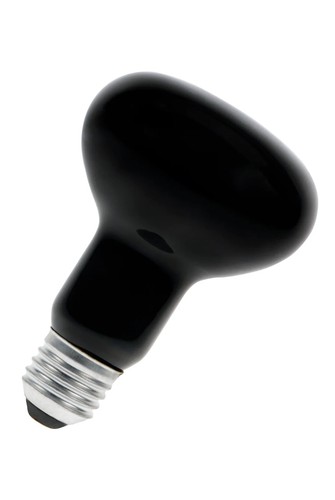 Lampe beleuchtung - lampe,